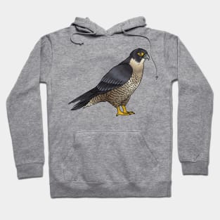 Peregrine falcon bird cartoon illustration Hoodie